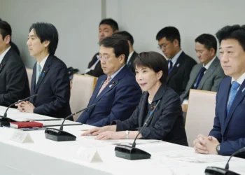 Japan sees naphtha-based chemical supplies lasting past New Year