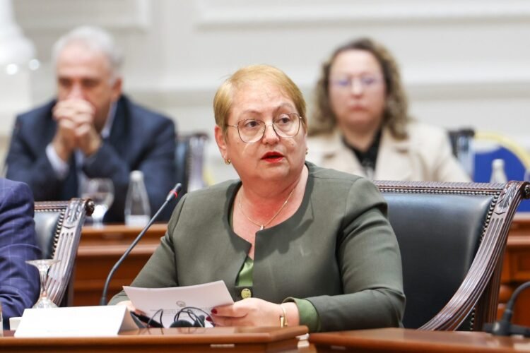 Janevska on peer violence: Parents should be more involved in raising their children