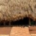 Kasubi Tombs: A portal to an ancient realm reopens in Uganda