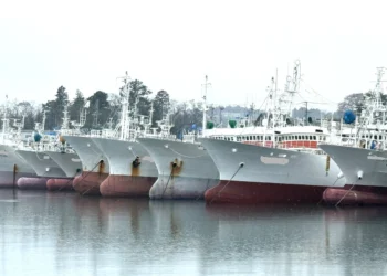 Japan’s fishing industry buckles under Middle East oil shock