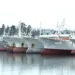 Japan’s fishing industry buckles under Middle East oil shock