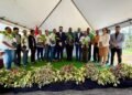 Government launches cocoa and coffee steering committee