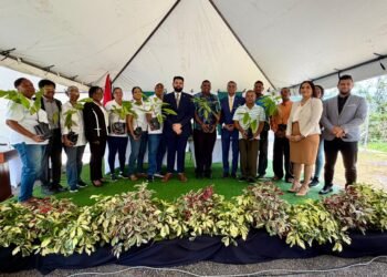 Government launches cocoa and coffee steering committee