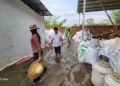 Cambodia orders shutdown of mango processing plant after repeat wastewater pollution case