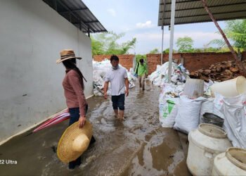 Cambodia orders shutdown of mango processing plant after repeat wastewater pollution case