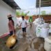 Cambodia orders shutdown of mango processing plant after repeat wastewater pollution case