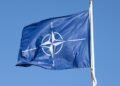 Is a new alliance needed to survive US threats to withdraw from NATO?