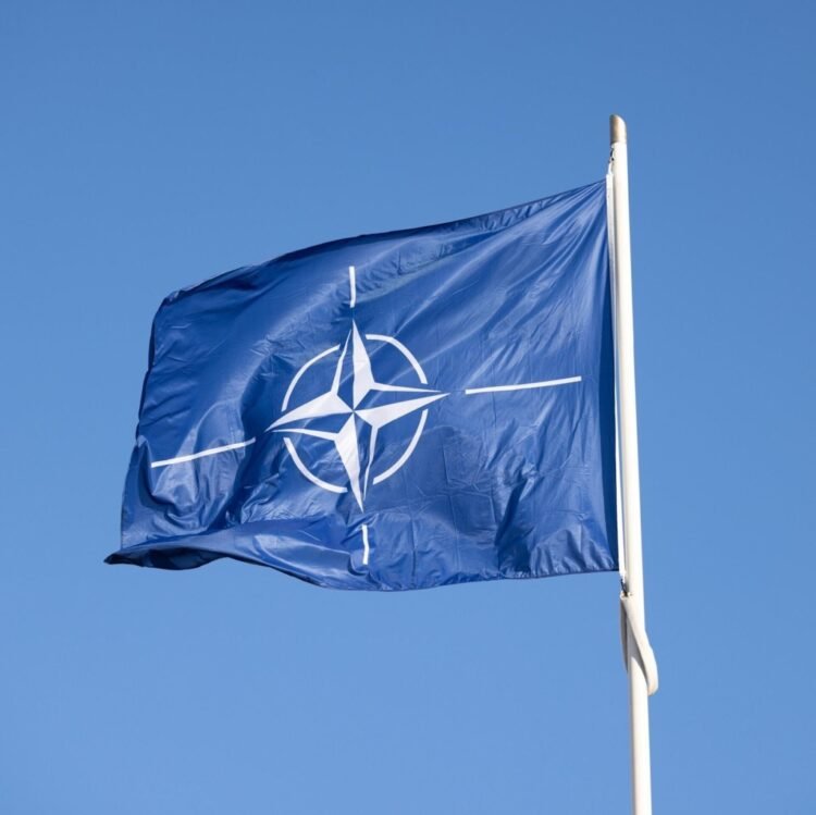 Is a new alliance needed to survive US threats to withdraw from NATO?