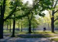 The simple habit that can significantly reduce your stress