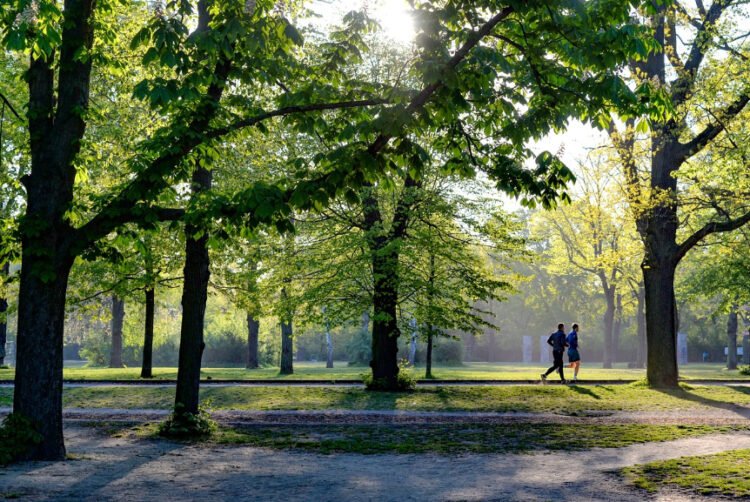 The simple habit that can significantly reduce your stress