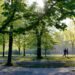 The simple habit that can significantly reduce your stress