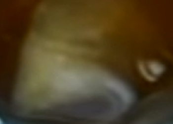 Antiguan consumer finds strange substance in their juice container