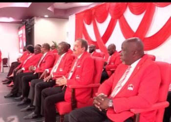 WATCH: 17 ABLP candidates ratified at National Convention