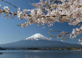 Rising Interest in Japan’s Traditional Culture and the Four Seasons