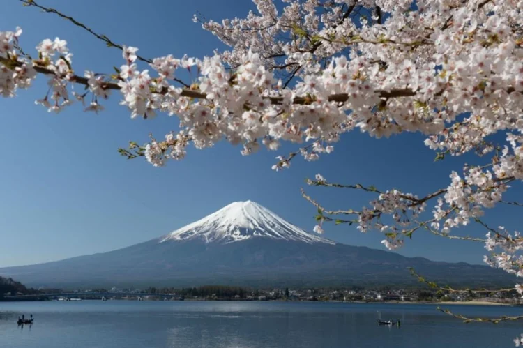 Rising Interest in Japan’s Traditional Culture and the Four Seasons
