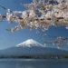 Rising Interest in Japan’s Traditional Culture and the Four Seasons