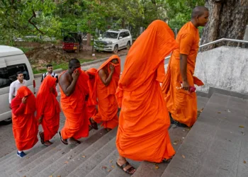 A group with the participation of Buddhist monks tried to import 112 kg of drugs into Sri Lanka