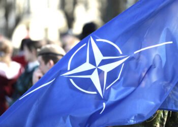 With a mosquito cannon?! – New Macedonia