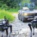 Army seeks to adopt AI, robotics in combat support