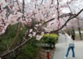 2 million medical tourists visited S. Korea in 2025, spending 12.5 trillion won on tourism