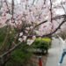 2 million medical tourists visited S. Korea in 2025, spending 12.5 trillion won on tourism