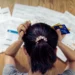 Thai household debt climbs to 86.7% of GDP as labour market strains, SCB EIC warns