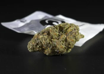 Prevention in Schools and New Risks on the Drug Market: Government Responds to Synthetic Cannabinoids and Kratom