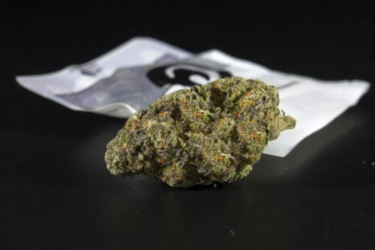 Prevention in Schools and New Risks on the Drug Market: Government Responds to Synthetic Cannabinoids and Kratom