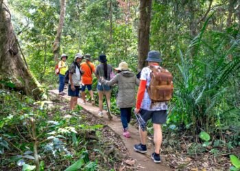 Thirty participants begin intensive tour guide training to boost Dominica’s tourism standards