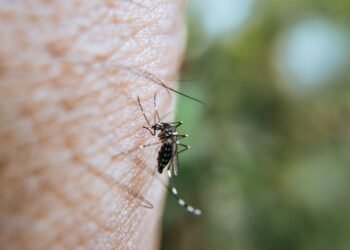 Latest Findings Indicate Major Progress in AI-Assisted Epidemic Prevention