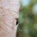 Latest Findings Indicate Major Progress in AI-Assisted Epidemic Prevention