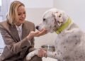 Emotional occasion in pictures: Princess Charlene of Monaco opens loving new home for rescued dogs and cats