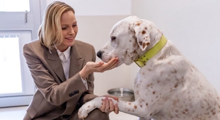 Emotional occasion in pictures: Princess Charlene of Monaco opens loving new home for rescued dogs and cats