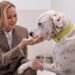 Emotional occasion in pictures: Princess Charlene of Monaco opens loving new home for rescued dogs and cats