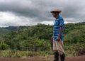 ‘Paraíso Tropical’ wins Best Film chosen by the IFF 2026 audience