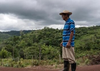 ‘Paraíso Tropical’ wins Best Film chosen by the IFF 2026 audience