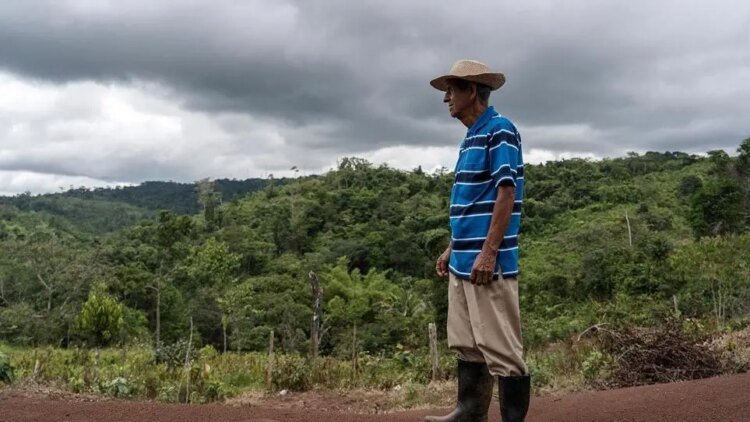 ‘Paraíso Tropical’ wins Best Film chosen by the IFF 2026 audience