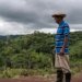 ‘Paraíso Tropical’ wins Best Film chosen by the IFF 2026 audience