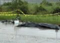 Driver in fatal EBD accident charged, granted $300k bail