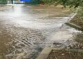 Great Britain: Southern Water Admits Sea Pollution
