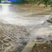 Great Britain: Southern Water Admits Sea Pollution