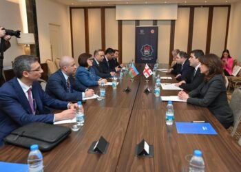 Azerbaijani Parliament Speaker meets with Speaker of Parliament of Georgia (PHOTO)