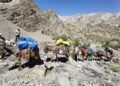 Salom alaikum, Tajikistan! Event announcements, day in history, weather forecast for April 25, 2026