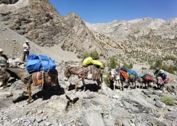 Salom alaikum, Tajikistan! Event announcements, day in history, weather forecast for April 25, 2026