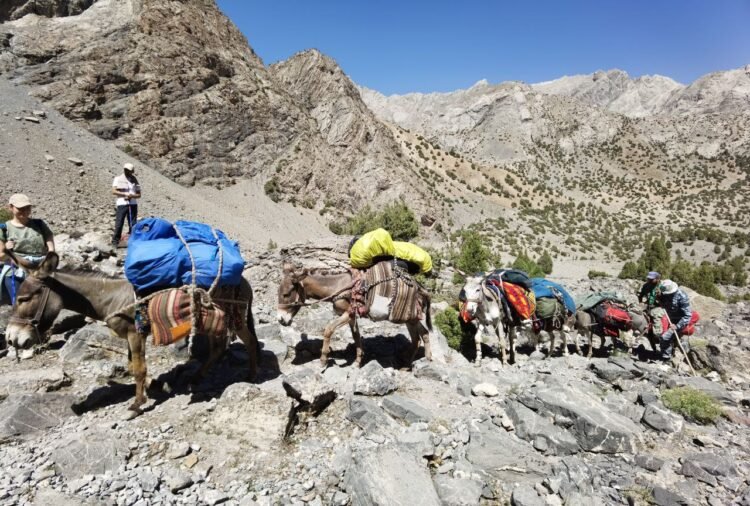 Salom alaikum, Tajikistan! Event announcements, day in history, weather forecast for April 25, 2026