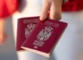 Passports in Serbia will be “burgundy red”: What color is it and why is it called that?
