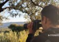 “Chasing” the poachers | THE DAILY