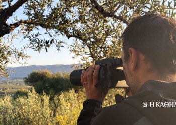 “Chasing” the poachers | THE DAILY