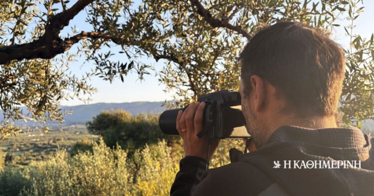 “Chasing” the poachers | THE DAILY