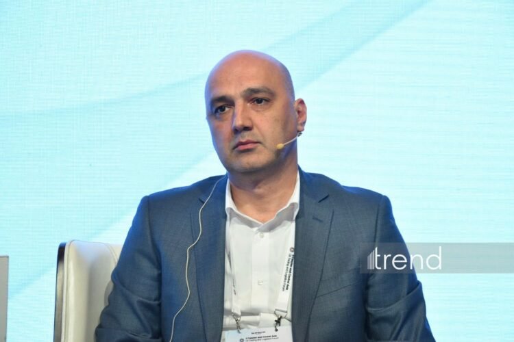 SOCAR Georgia reveals number of local gas stations in 2025